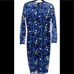 Gorgeous lace embroidered dress